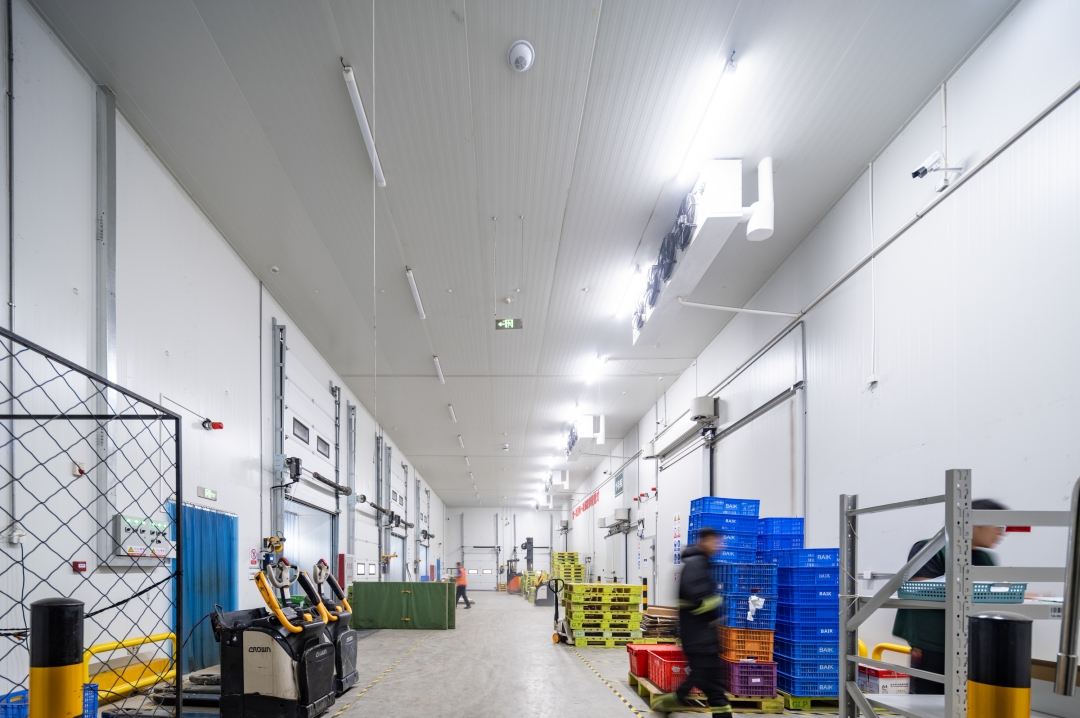 打造“城市新冰箱”，万事达助力高标冷链仓储建设