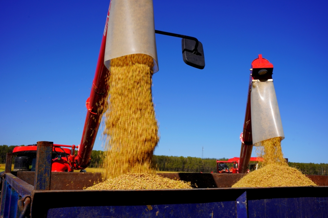 谋冷库“粮”策，万事达助力国家粮食现代物流（武汉）基地建设