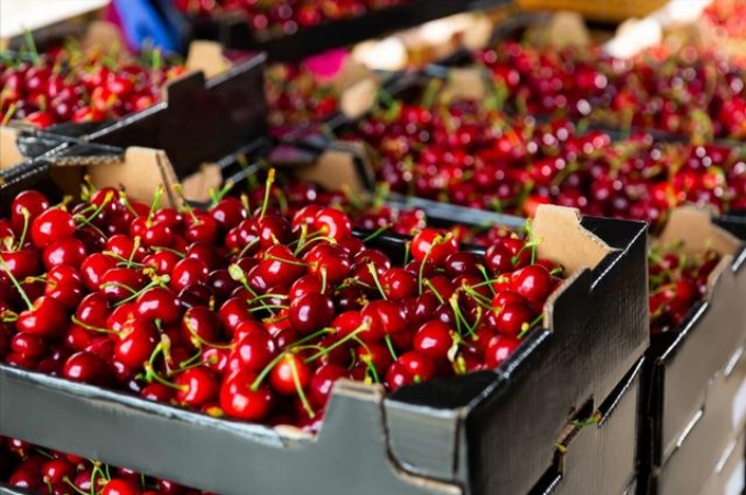 库容全国前三：超级“大冰柜”高效运营