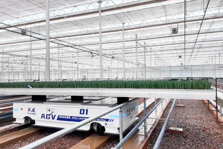 项目实录 | 亚洲花业新地标：云南英茂花卉项目背后的“温度密码”                                                                                                                     万事达冷链                                                                                                  2026年3月12日 17:48               山东                                            听全文                                                                                                                                                                                                                                  在小说阅读器中沉浸阅读