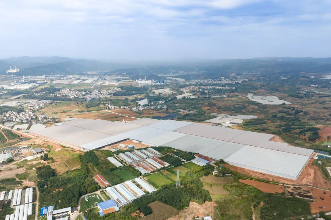 项目实录 | 亚洲花业新地标：云南英茂花卉项目背后的“温度密码” 万事达冷链 2026年3月12日 17:48 山东 听全文 在小说阅读器中沉浸阅读