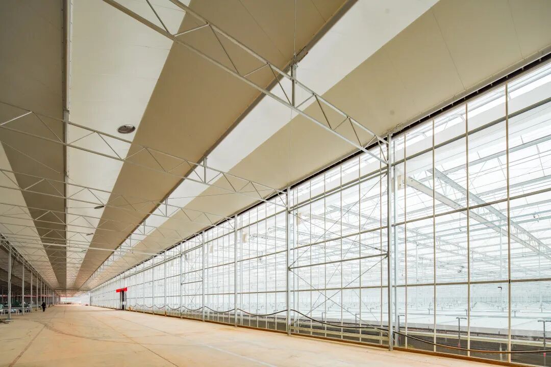 项目实录 | 亚洲花业新地标：云南英茂花卉项目背后的“温度密码” 万事达冷链 2026年3月12日 17:48 山东 听全文 在小说阅读器中沉浸阅读